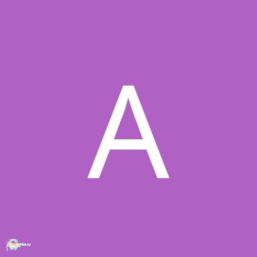 Alina46347
