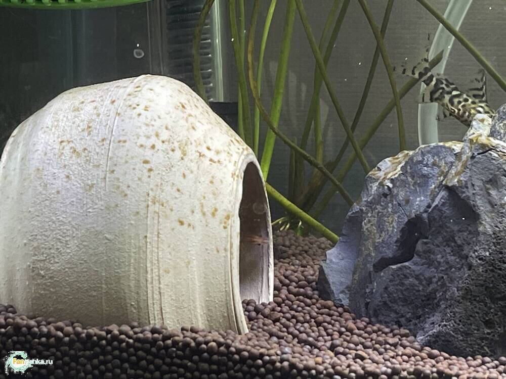 IMG_3849.jpeg