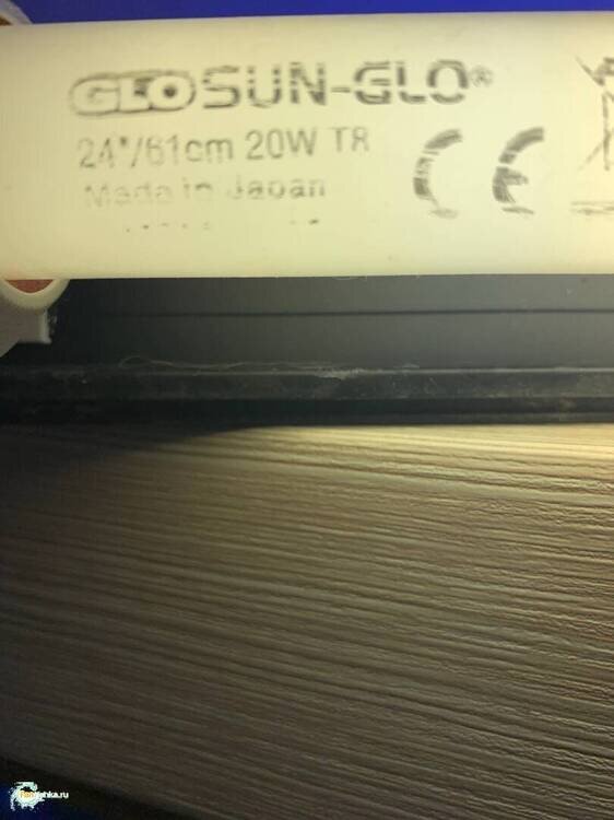 Q3olYWfxUfeqokWvmEu32Fo0X9zAg3U-xthoT-DvKUBrBD6UESMz6nCl96aAzchjyzVWYoHEFLTSM1BgDFEN0K5X.jpg
