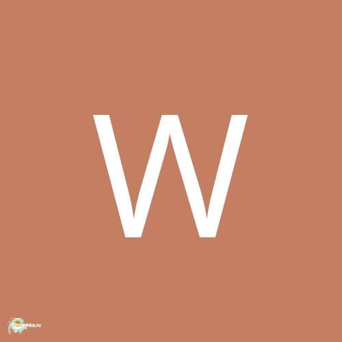WWWILD