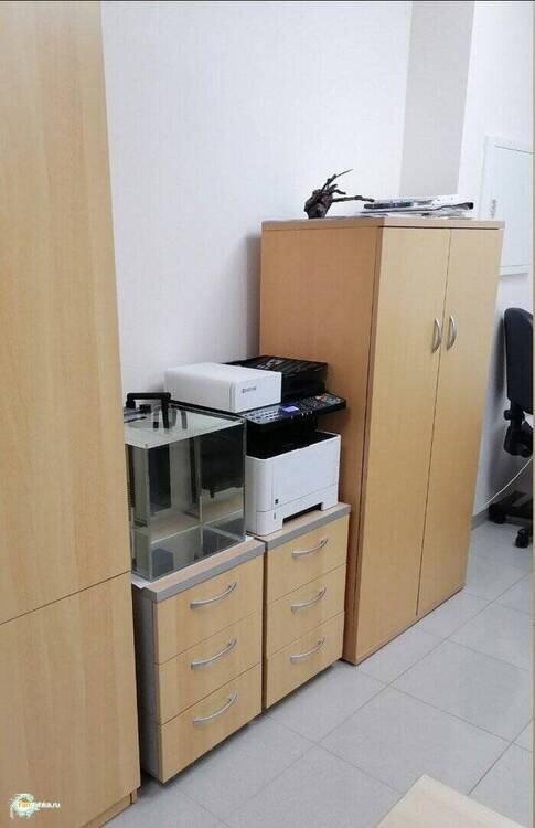 image.thumb.png.c843971f52983d335e33e363dea0c7a8.png