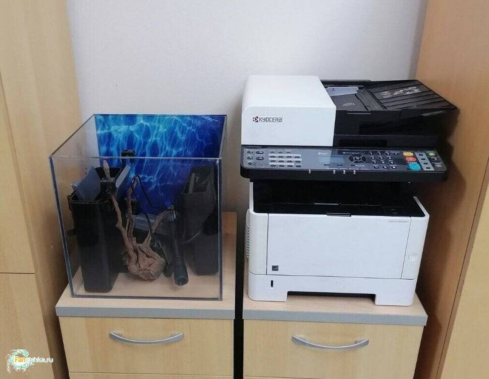 image.thumb.png.e3b79d218779600275e70cdaa291f45f.png