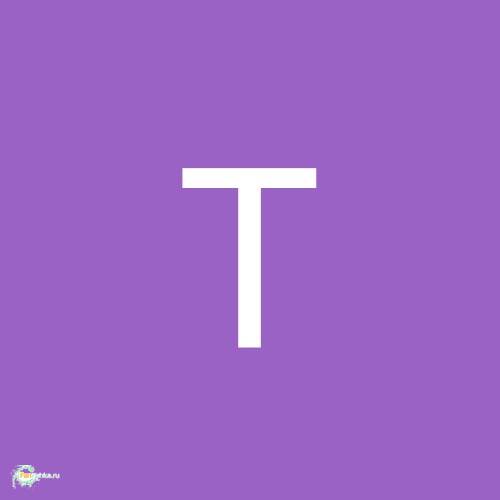 ТеркинВС