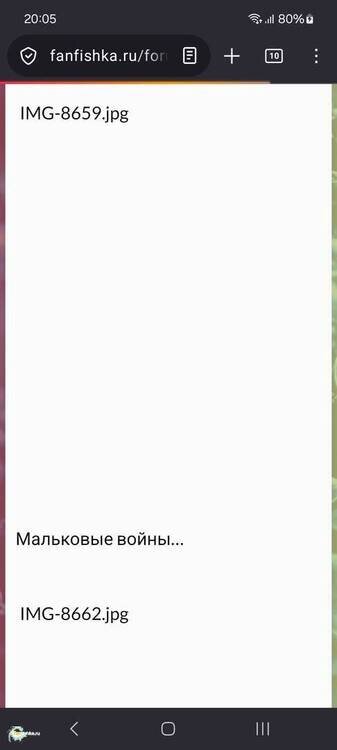 Screenshot_20260601_200537_Firefox.jpg