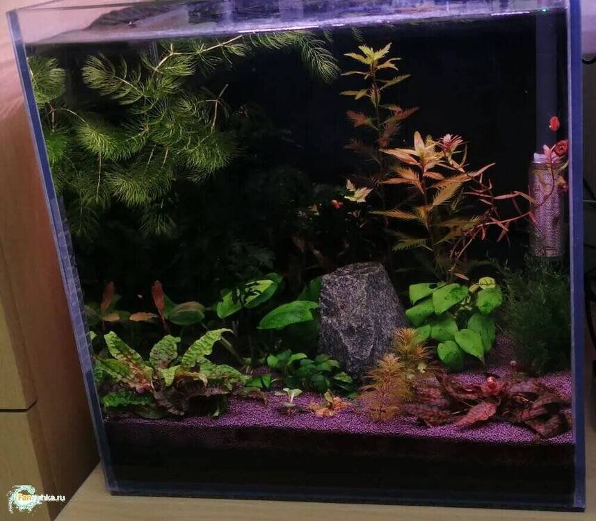 image.thumb.png.4a336a1a340db20e7873ccdfa703f530.png