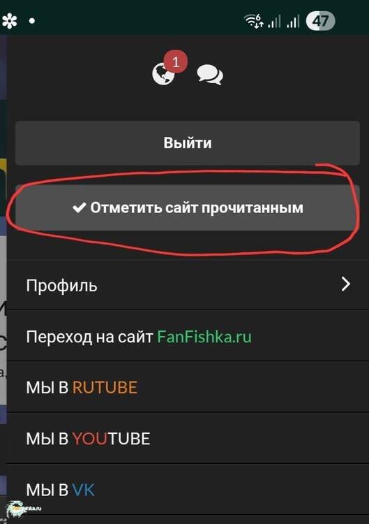 6a5737ed57d63_Screenshot_20260715_103118_YandexBrowser.thumb.jpg.e38ec291c61ea6a7cef8d3b757f14e08.jpg