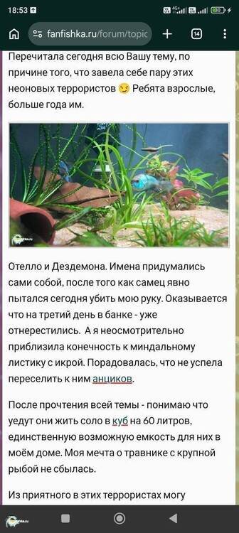 Screenshot_2026-07-29-18-53-40-536_com.android.chrome.thumb.jpg.ac86d45f0529d79b6d0b7cc725676235.jpg