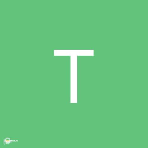 Timaxb