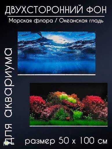 images.jpg.4ee295951a50c55672295886bd73aae0.jpg
