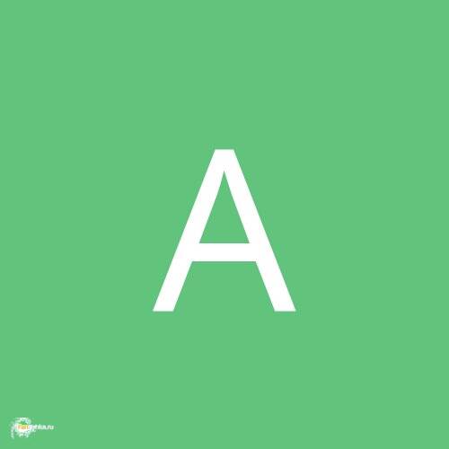Анастасия_Б