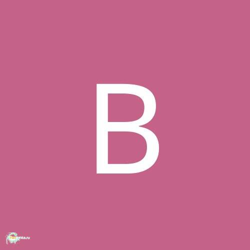 Bas851