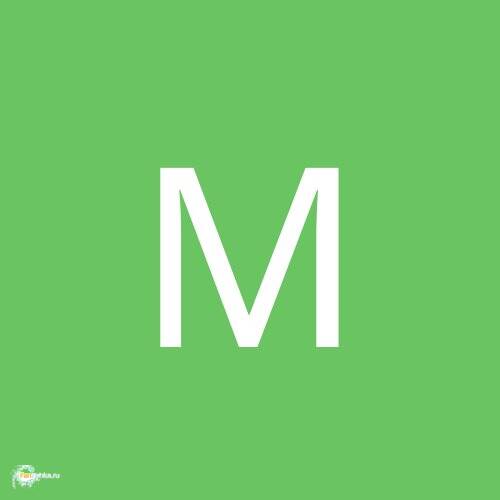 Mangus