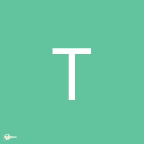 transfi