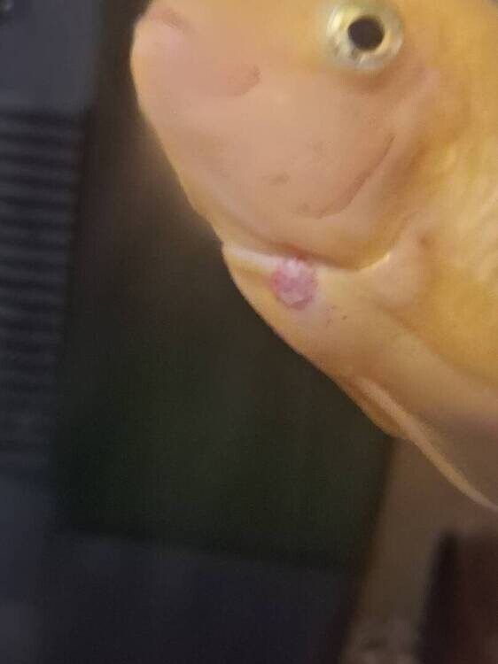 20261022_221506.jpg