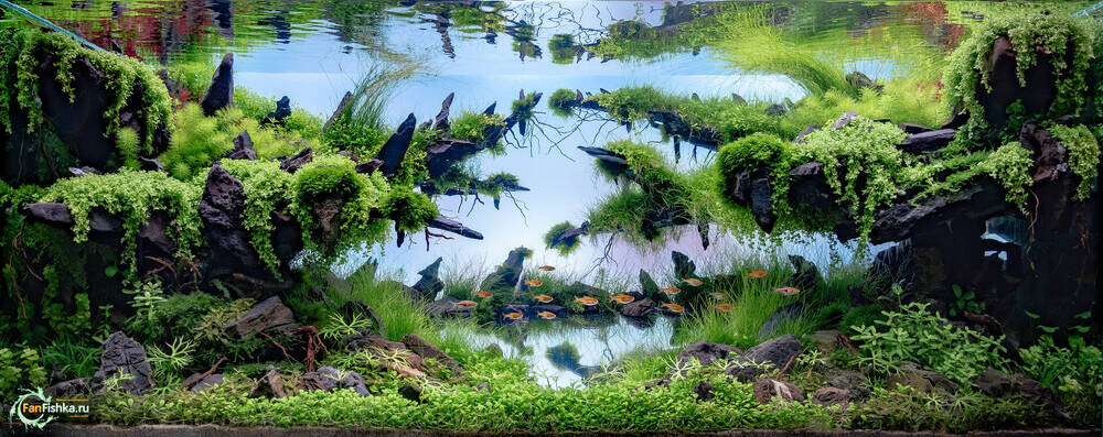 Troll_Lake_с_логотипом.jpg