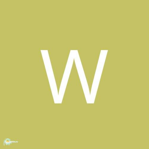 Wirewire