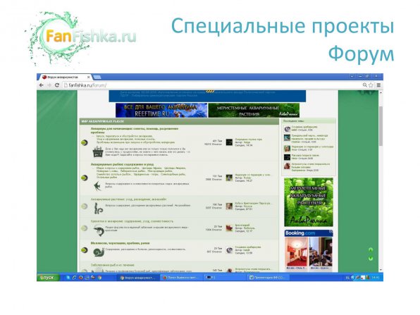 Размещение рекламы, баннеров, статей на аквариумном сайте и форуме FanFishka.ru