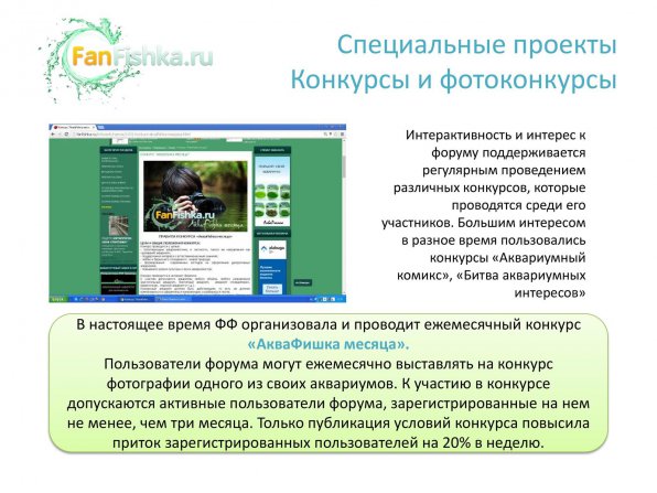 Размещение рекламы, баннеров, статей на аквариумном сайте и форуме FanFishka.ru