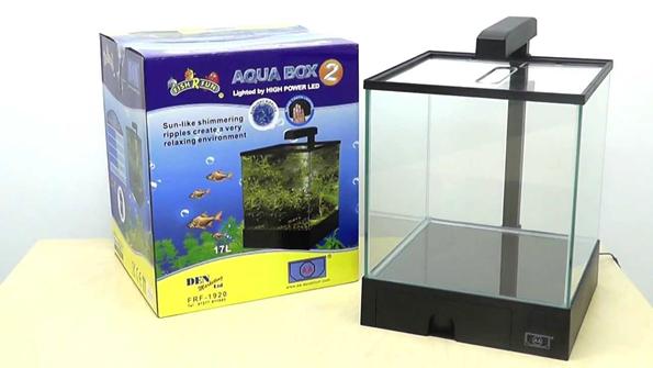Аквариум Aqua Box Betta: обзор и отзывы