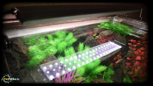 Светодиодный светильник Laguna для аквариума