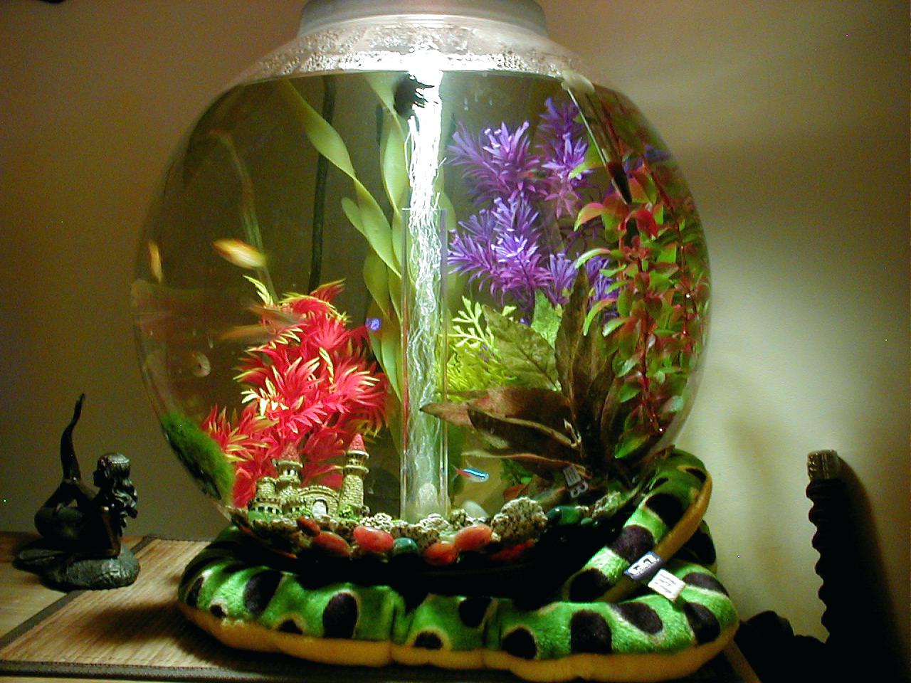 Красиво украсить аквариум