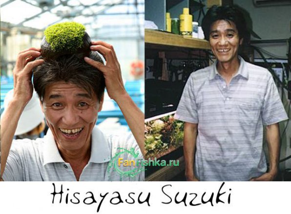 Хисуасу Сузуки (Hisayasu Suzuki)