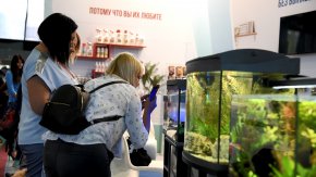 Выставка ПаркЗоо 2018: аквариумистика, голосование, приз!