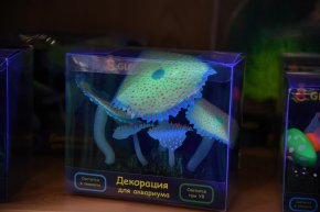 Выставка ПаркЗоо 2018: аквариумистика, голосование, приз!