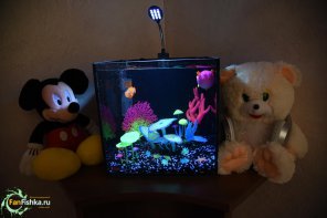 Настоящий светящийся аквариум GLOXY GLOW SET