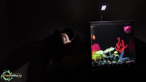 Настоящий светящийся аквариум GLOXY GLOW SET