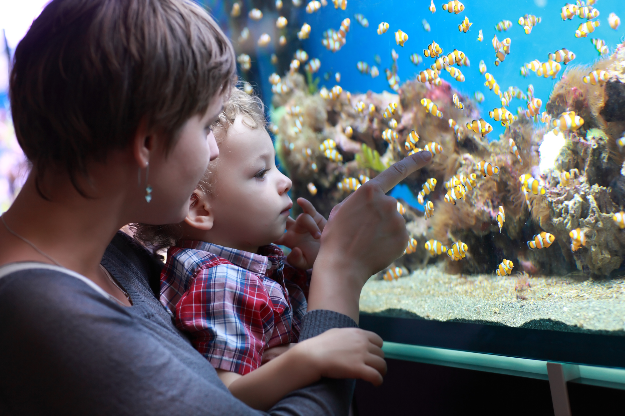 Наблюдать за рыбками. Дети в океанариуме. Люди в океанариуме. Аквариум для детей. Рыбки для детей.