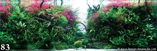 Красные растения в аквариуме