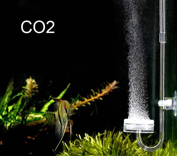 CO2 система
