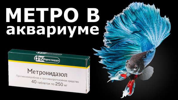 Метронидазол (трихопол)&nbsp;для лечения аквариумных рыбок
