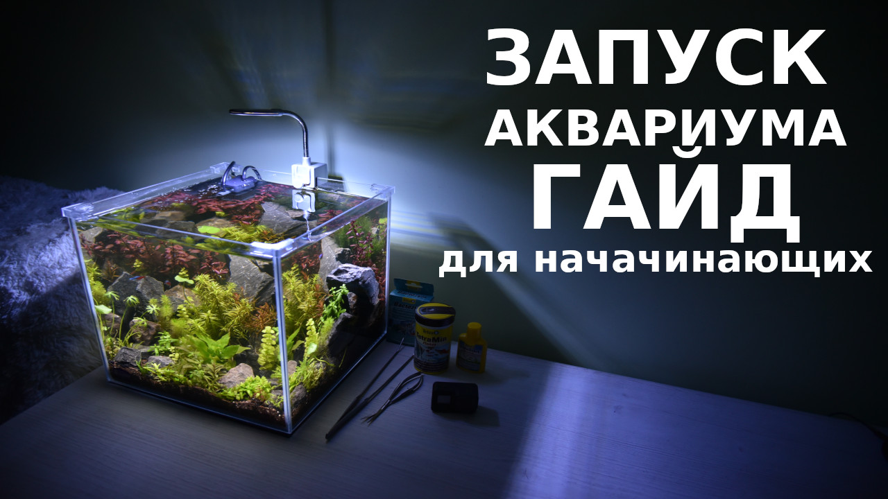 Грунт для аквариума своими руками: фото, видео, рецепты