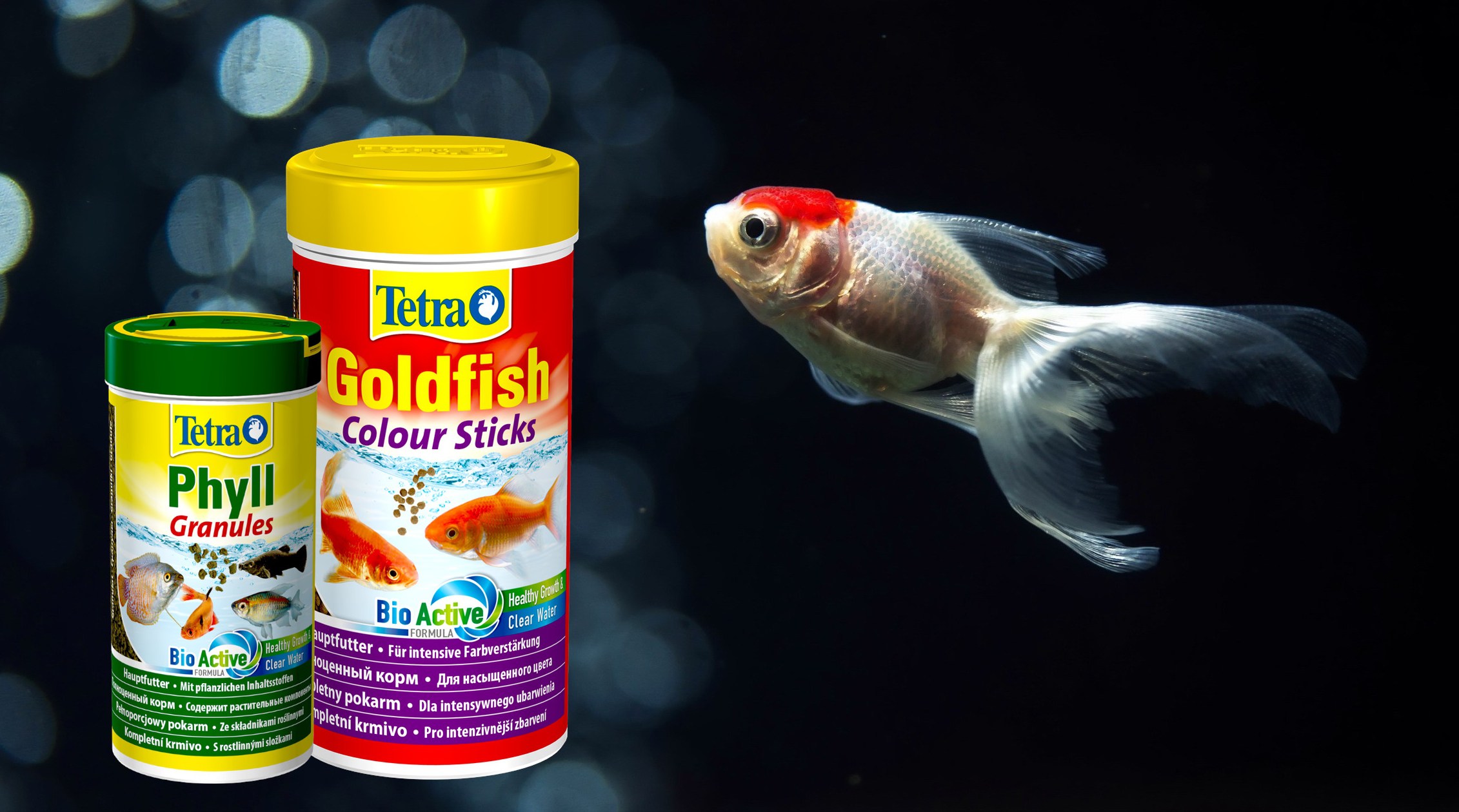 Золотая рыбка из бумаги. Мастер-класс