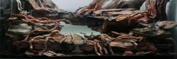 Язык тролля аквариум фанфишка