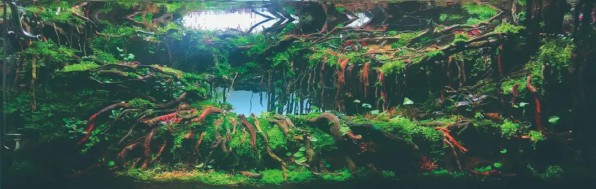 Язык тролля аквариум фанфишка