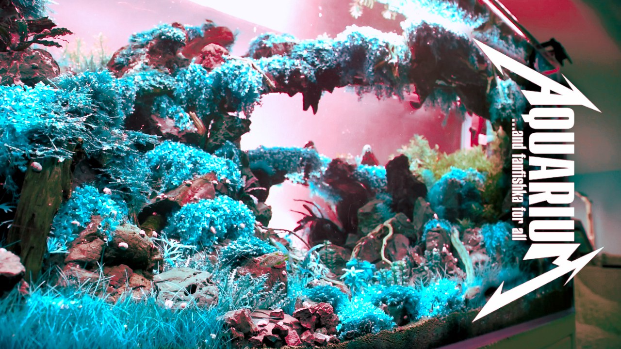 Как сделать биофильтр для аквариума своими руками
