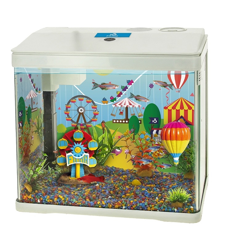 Можно ли иметь аквариум в детском саду? Плюсы и минусы