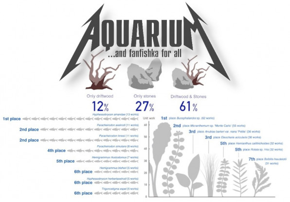 Самые популярные рыбы и растения у акваскейперов
