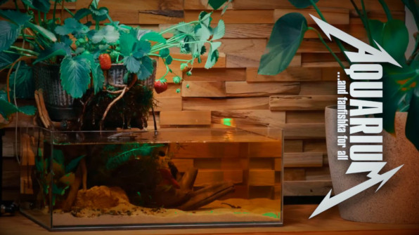 ФитоФильтр для аквариумной клубнички видео-обзор