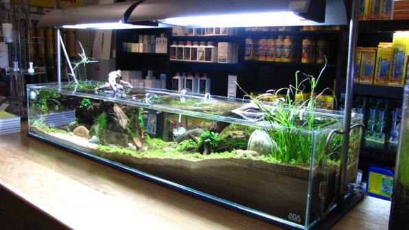 Выбор светильника для аквариума и расчет освещения