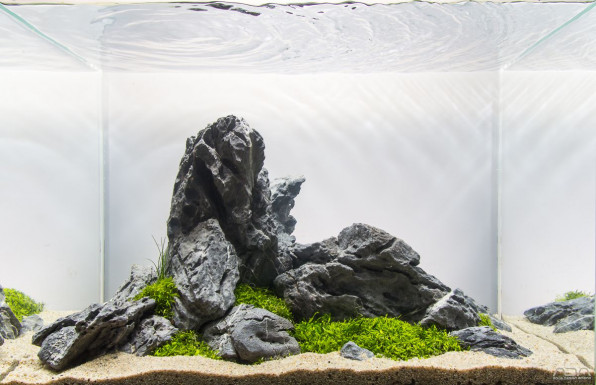 Камни для аквариума: установка и оформление