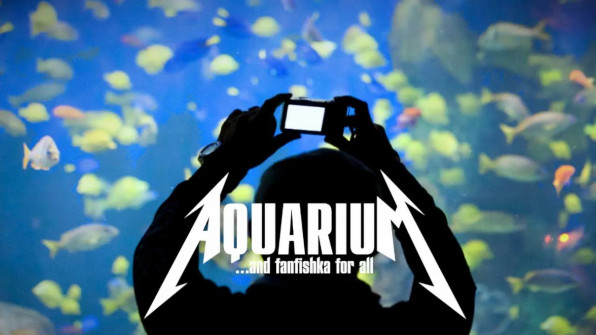 Процесс фотографирования аквариума видео-обзор