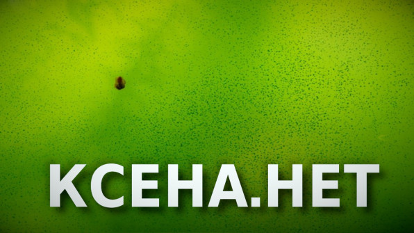 Зеленый налет ксенококуса в аквариуме видео-обзор