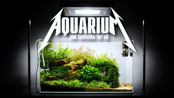 Первый аквариум с растениями видео-обзор