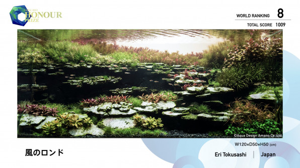 Акваскейп "Пылающие скалы" в поисках души!