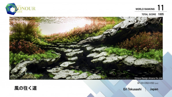 Акваскейп "Пылающие скалы" в поисках души!