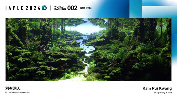 Акваскейп "Пылающие скалы" в поисках души!